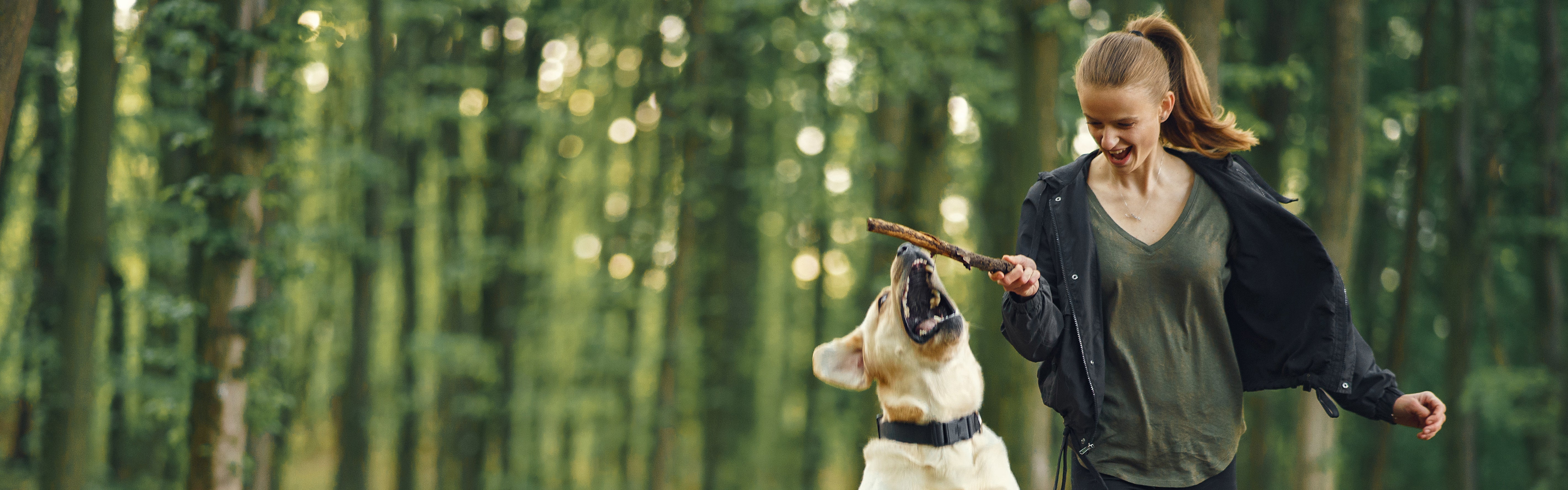 7 najczęściej popełnianych błędów w zabawie z psem