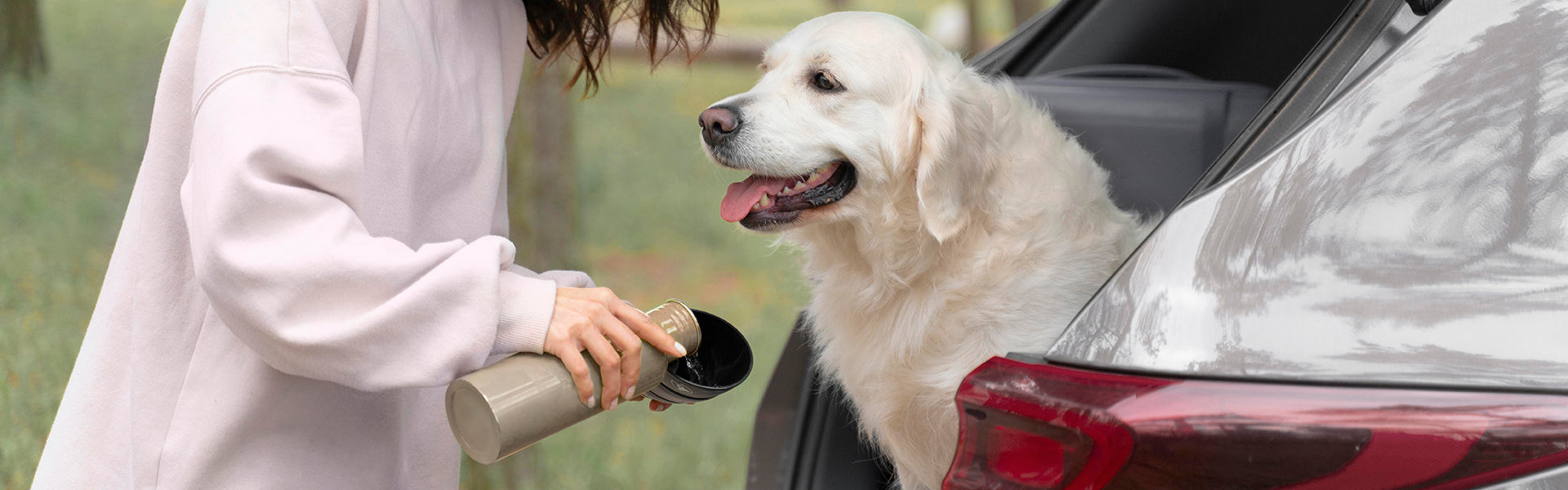 Lato w psiej misce. Czym karmić psa latem?