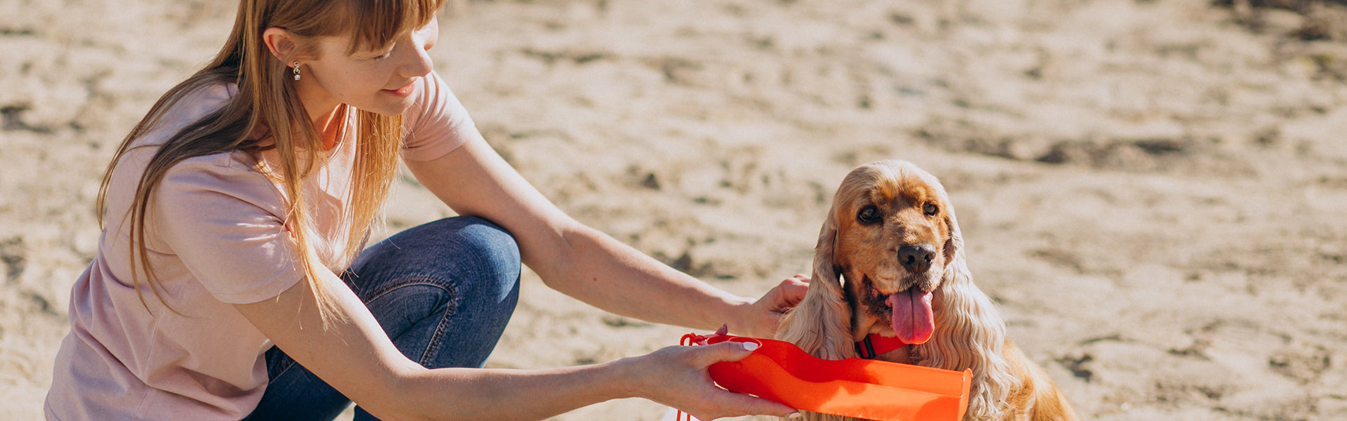 Petsitter - zawód dla miłośników zwierząt