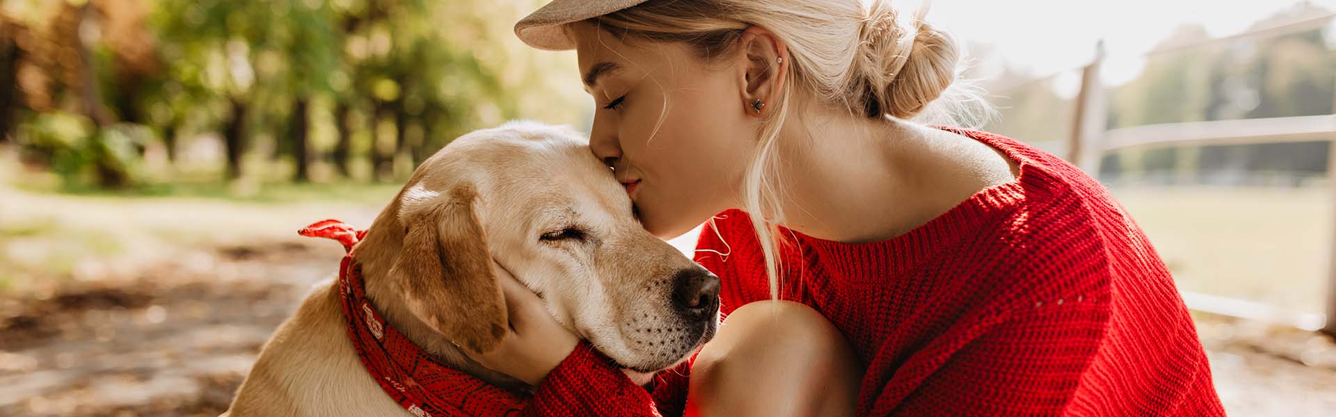 Pies rasowy czy mieszaniec?