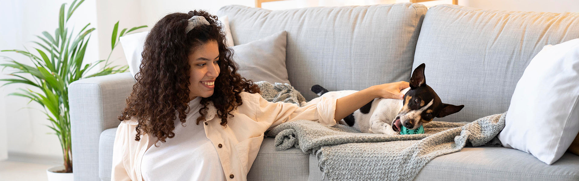 Z psem w domu. 4 sposoby na to, jak dobrze spędzić z nim czas