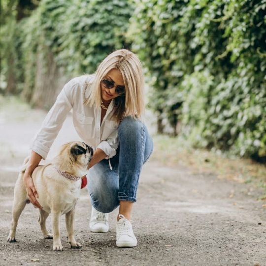 Co można wyczytać z psiej kupy?