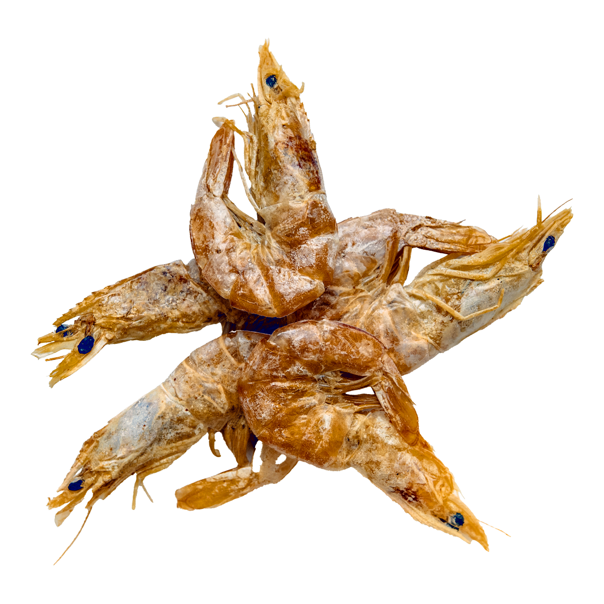 953364fe3e8d9f9d6ef6d2394699a79a