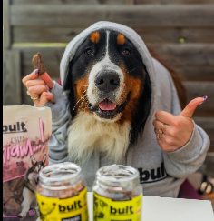bult.dog