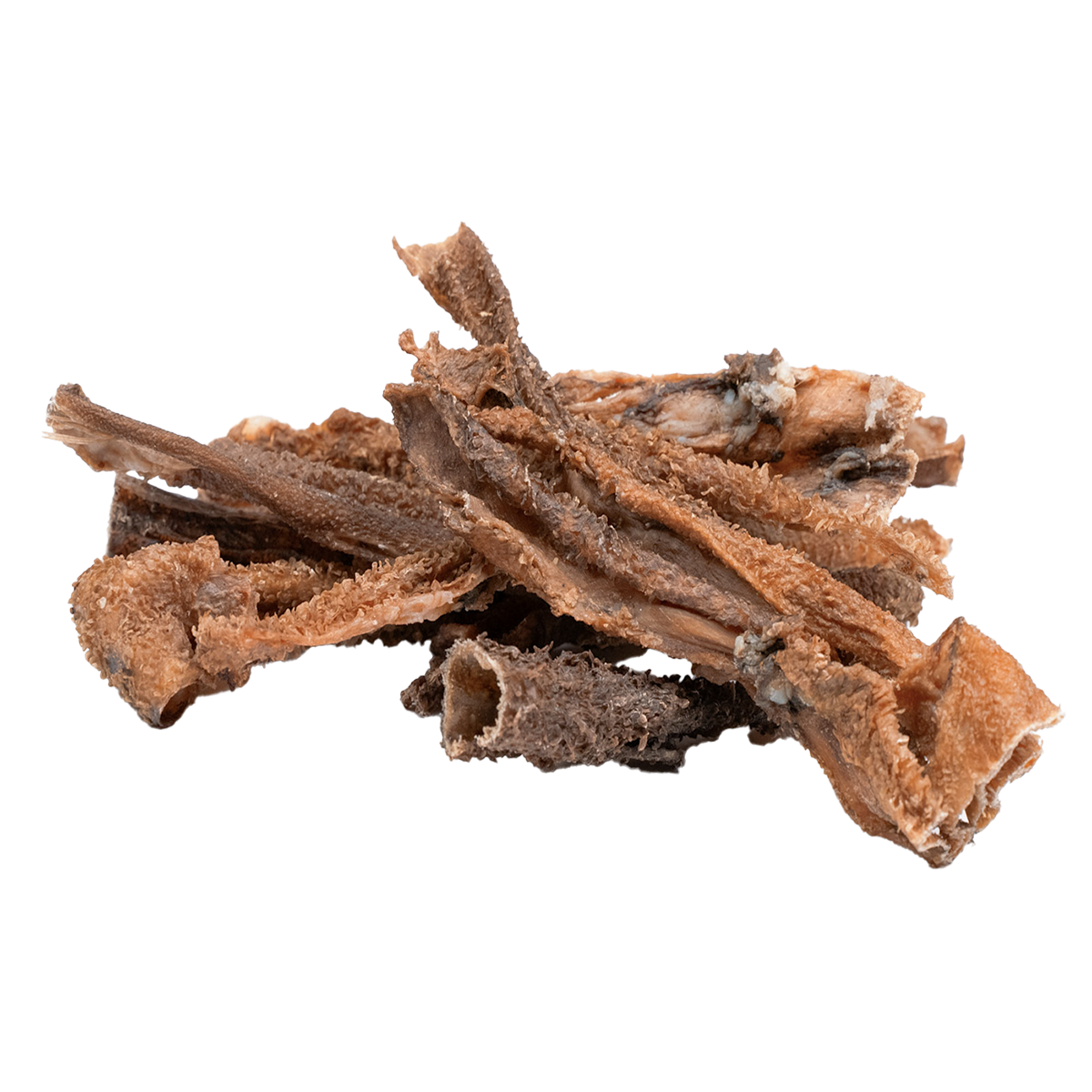 bult.dog